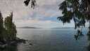 ./images/koeye/fitz-hugh/20250918/fitz-hugh20250918_120511M.jpg
