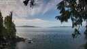 ./images/koeye/fitz-hugh/20250918/fitz-hugh20250918_121511M.jpg