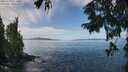./images/koeye/fitz-hugh/20250918/fitz-hugh20250918_122010M.jpg