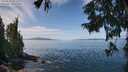 ./images/koeye/fitz-hugh/20250918/fitz-hugh20250918_122509M.jpg