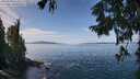 ./images/koeye/fitz-hugh/20250918/fitz-hugh20250918_123013M.jpg