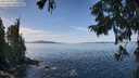 ./images/koeye/fitz-hugh/20250918/fitz-hugh20250918_123510M.jpg