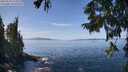 ./images/koeye/fitz-hugh/20250918/fitz-hugh20250918_124511M.jpg