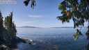 ./images/koeye/fitz-hugh/20250918/fitz-hugh20250918_125008M.jpg