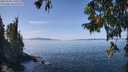 ./images/koeye/fitz-hugh/20250918/fitz-hugh20250918_125510M.jpg