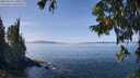 ./images/koeye/fitz-hugh/20250918/fitz-hugh20250918_130011M.jpg