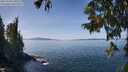 ./images/koeye/fitz-hugh/20250918/fitz-hugh20250918_130510M.jpg