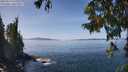 ./images/koeye/fitz-hugh/20250918/fitz-hugh20250918_131010M.jpg