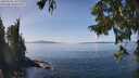 ./images/koeye/fitz-hugh/20250918/fitz-hugh20250918_132511M.jpg