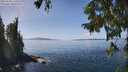 ./images/koeye/fitz-hugh/20250918/fitz-hugh20250918_133013M.jpg