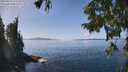 ./images/koeye/fitz-hugh/20250918/fitz-hugh20250918_133509M.jpg