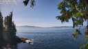 ./images/koeye/fitz-hugh/20250918/fitz-hugh20250918_140012M.jpg