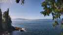 ./images/koeye/fitz-hugh/20250918/fitz-hugh20250918_140508M.jpg