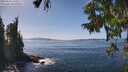 ./images/koeye/fitz-hugh/20250918/fitz-hugh20250918_141012M.jpg