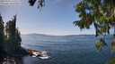 ./images/koeye/fitz-hugh/20250918/fitz-hugh20250918_141512M.jpg