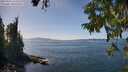./images/koeye/fitz-hugh/20250918/fitz-hugh20250918_142011M.jpg