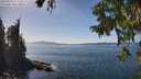 ./images/koeye/fitz-hugh/20250918/fitz-hugh20250918_142510M.jpg