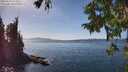 ./images/koeye/fitz-hugh/20250918/fitz-hugh20250918_143012M.jpg
