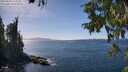 ./images/koeye/fitz-hugh/20250918/fitz-hugh20250918_143509M.jpg