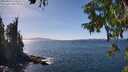 ./images/koeye/fitz-hugh/20250918/fitz-hugh20250918_144011M.jpg