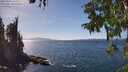 ./images/koeye/fitz-hugh/20250918/fitz-hugh20250918_144512M.jpg