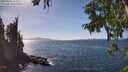 ./images/koeye/fitz-hugh/20250918/fitz-hugh20250918_145011M.jpg