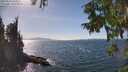 ./images/koeye/fitz-hugh/20250918/fitz-hugh20250918_150011M.jpg