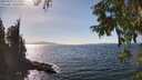 ./images/koeye/fitz-hugh/20250918/fitz-hugh20250918_151011M.jpg