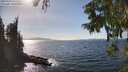 ./images/koeye/fitz-hugh/20250918/fitz-hugh20250918_151511M.jpg