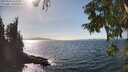 ./images/koeye/fitz-hugh/20250918/fitz-hugh20250918_152511M.jpg