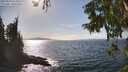 ./images/koeye/fitz-hugh/20250918/fitz-hugh20250918_154011M.jpg