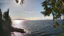./images/koeye/fitz-hugh/20250918/fitz-hugh20250918_154510M.jpg