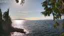 ./images/koeye/fitz-hugh/20250918/fitz-hugh20250918_155011M.jpg