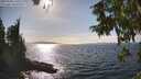 ./images/koeye/fitz-hugh/20250918/fitz-hugh20250918_160511M.jpg