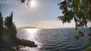 ./images/koeye/fitz-hugh/20250918/fitz-hugh20250918_161507M.jpg