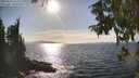./images/koeye/fitz-hugh/20250918/fitz-hugh20250918_162510M.jpg