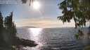 ./images/koeye/fitz-hugh/20250918/fitz-hugh20250918_163509M.jpg