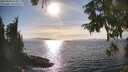 ./images/koeye/fitz-hugh/20250918/fitz-hugh20250918_164511M.jpg
