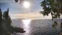 ./images/koeye/fitz-hugh/20250918/fitz-hugh20250918_165008M.jpg