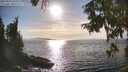 ./images/koeye/fitz-hugh/20250918/fitz-hugh20250918_165510M.jpg