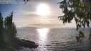 ./images/koeye/fitz-hugh/20250918/fitz-hugh20250918_171010M.jpg