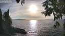 ./images/koeye/fitz-hugh/20250918/fitz-hugh20250918_173012M.jpg