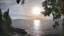 ./images/koeye/fitz-hugh/20250918/fitz-hugh20250918_180012M.jpg