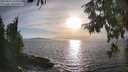 ./images/koeye/fitz-hugh/20250918/fitz-hugh20250918_180510M.jpg