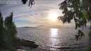 ./images/koeye/fitz-hugh/20250918/fitz-hugh20250918_181008M.jpg