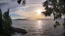 ./images/koeye/fitz-hugh/20250918/fitz-hugh20250918_181510M.jpg