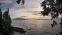 ./images/koeye/fitz-hugh/20250918/fitz-hugh20250918_183508M.jpg