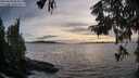 ./images/koeye/fitz-hugh/20250918/fitz-hugh20250918_184010M.jpg