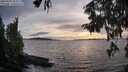 ./images/koeye/fitz-hugh/20250918/fitz-hugh20250918_184512M.jpg