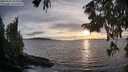 ./images/koeye/fitz-hugh/20250918/fitz-hugh20250918_185008M.jpg
